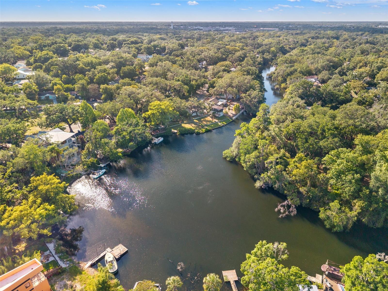 1502 E PARK CIR, TAMPA, FL, 33610