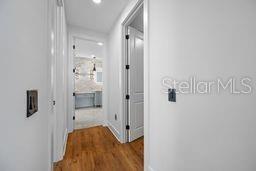 3426 CHANNELSIDE CT, SAFETY HARBOR, FL, 34695