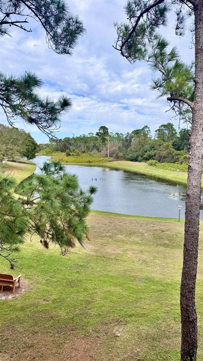 13001 MULBERRY PARK DR #132, ORLANDO, FL, 32821