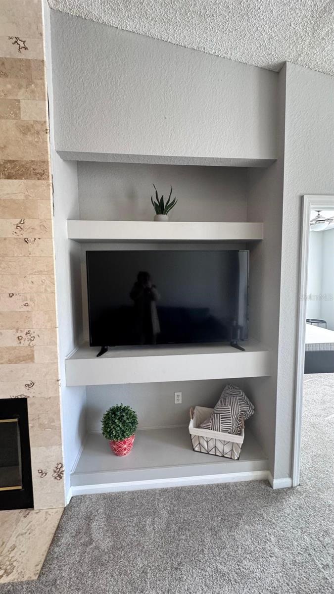 13001 MULBERRY PARK DR #132, ORLANDO, FL, 32821