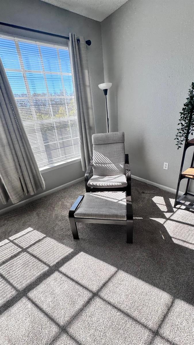 13001 MULBERRY PARK DR #132, ORLANDO, FL, 32821