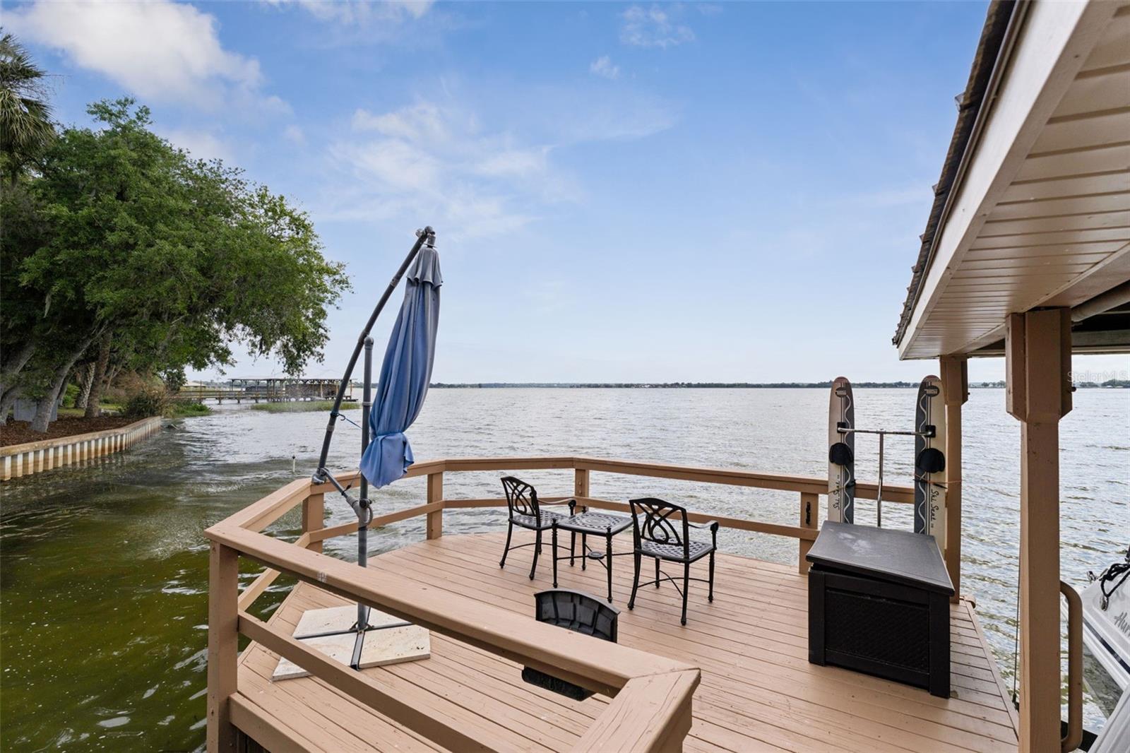 29650 SQUIRREL POINT RD, TAVARES, FL, 32778