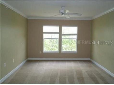 18367 BRIDLE CLUB DR #18367, TAMPA, FL, 33647