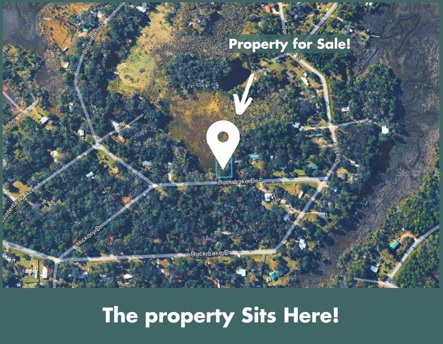 DUCK LAKE DR, FERNANDINA BEACH, FL, 32034