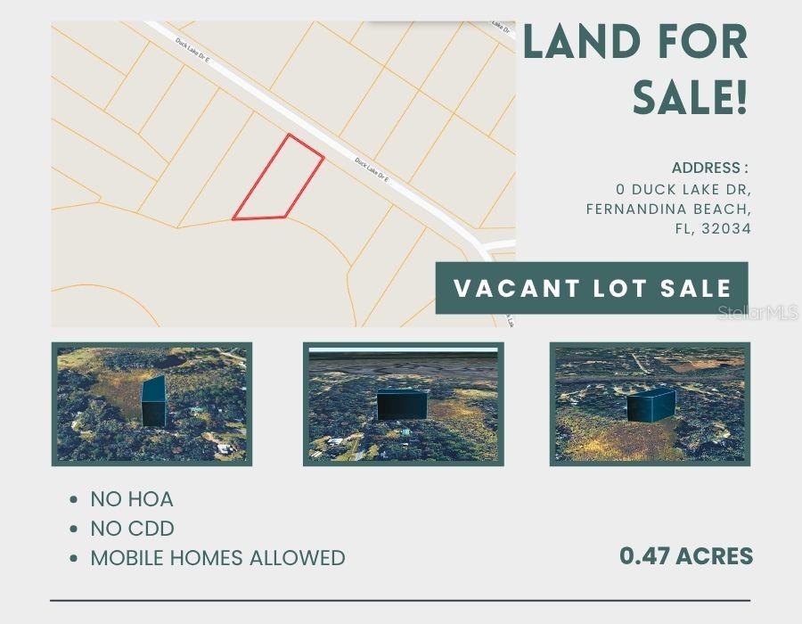 DUCK LAKE DR, FERNANDINA BEACH, FL, 32034