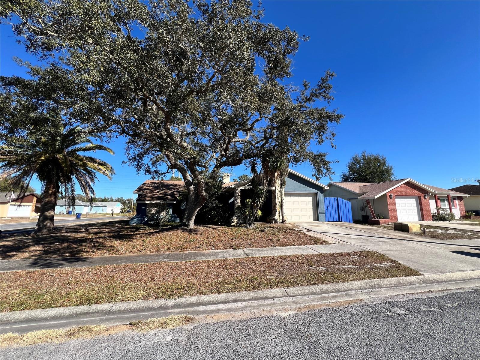 1338 CALAMONDIN DR, HOLIDAY, FL, 34691