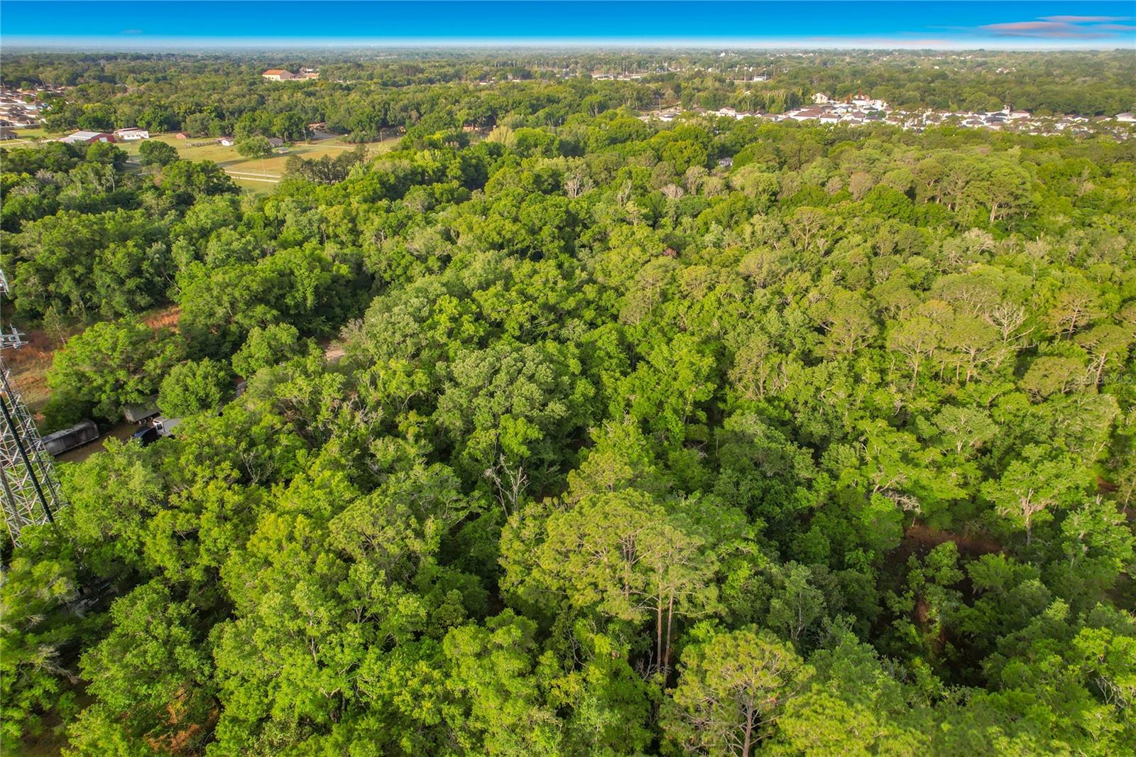 1225 DUFF RD, LAKELAND, FL, 33810