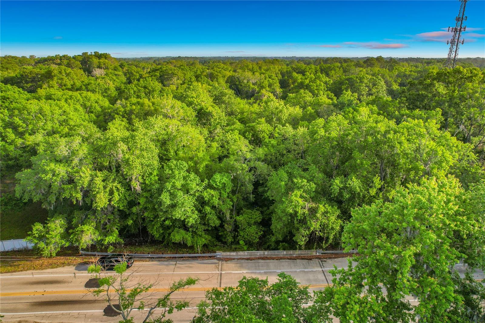 1225 DUFF RD, LAKELAND, FL, 33810