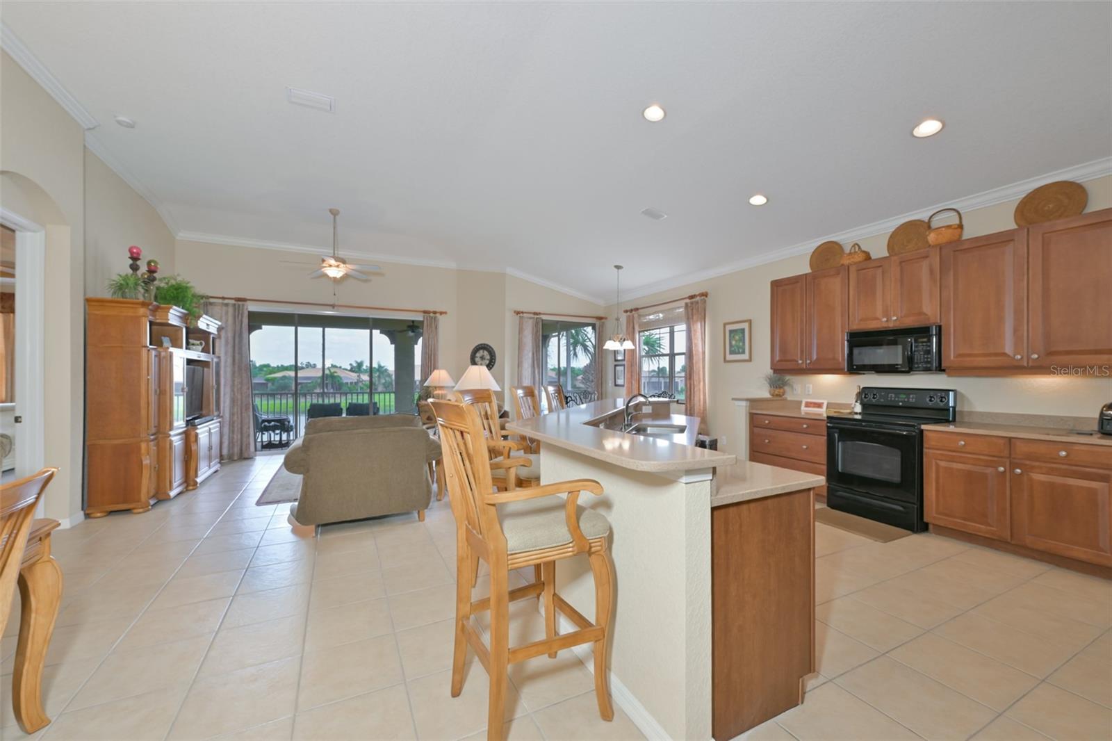 1330 EMERALD DUNES DR, SUN CITY CENTER, FL, 33573