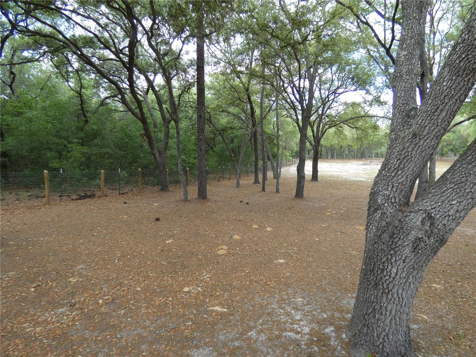 20865 SW 70TH ST, DUNNELLON, FL, 34431