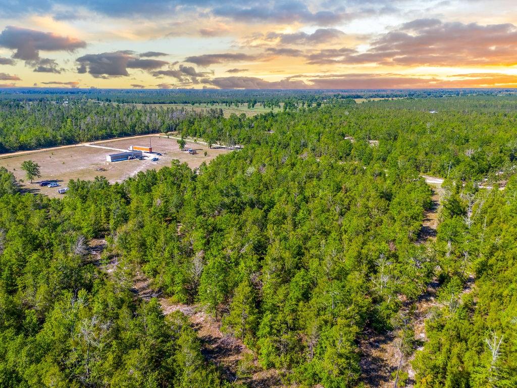 1147 SE HAMMERLY ST, MADISON, FL, 32340