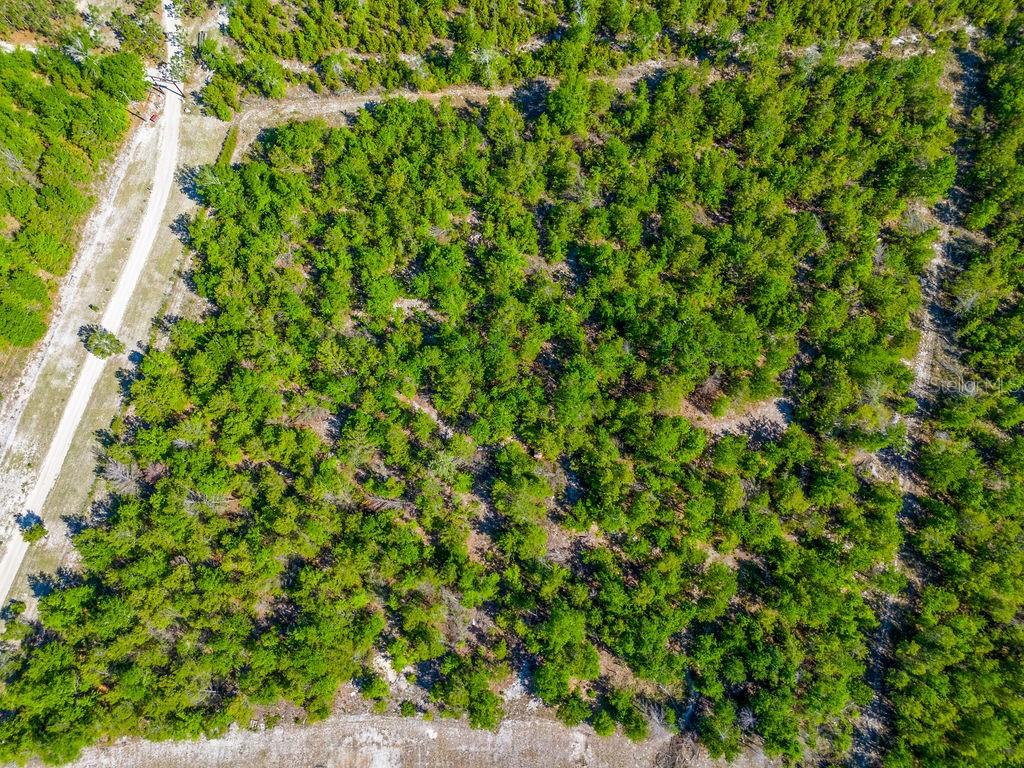 1147 SE HAMMERLY ST, MADISON, FL, 32340