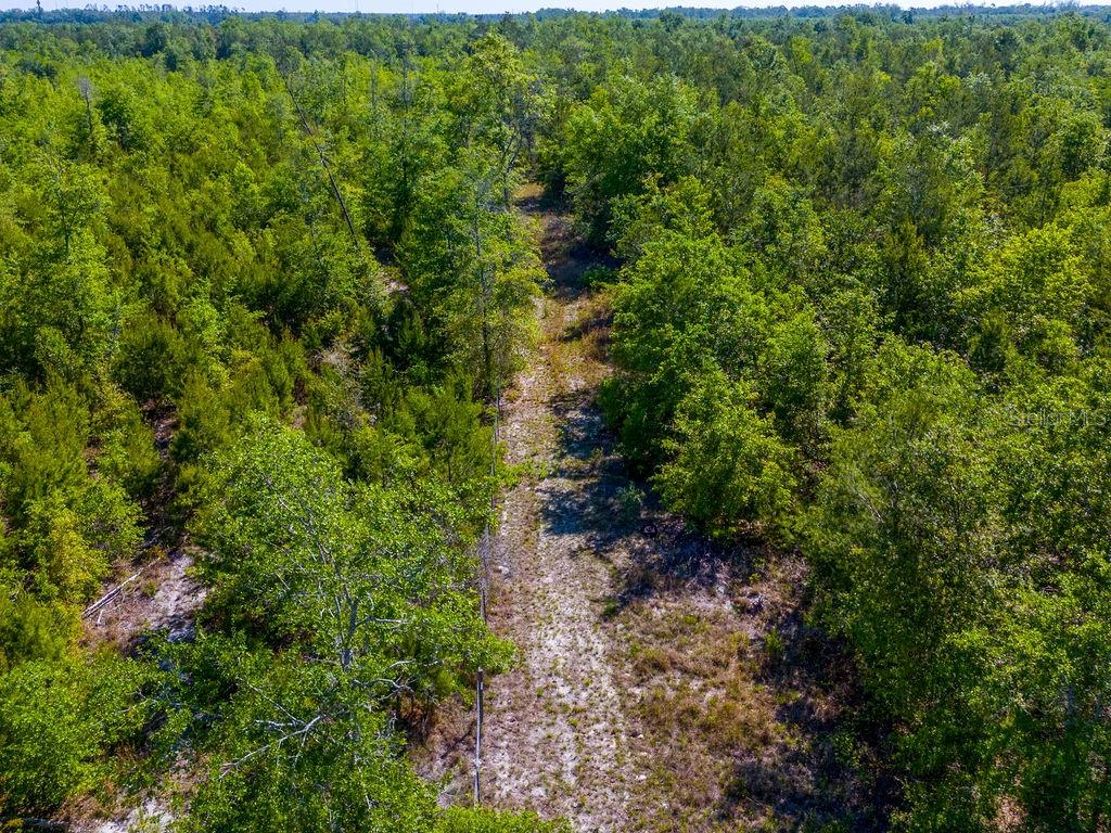 1147 SE HAMMERLY ST, MADISON, FL, 32340