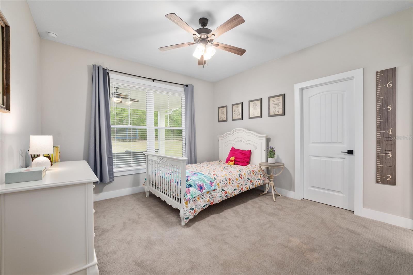 11833 NW 234TH ST, ALACHUA, FL, 32615