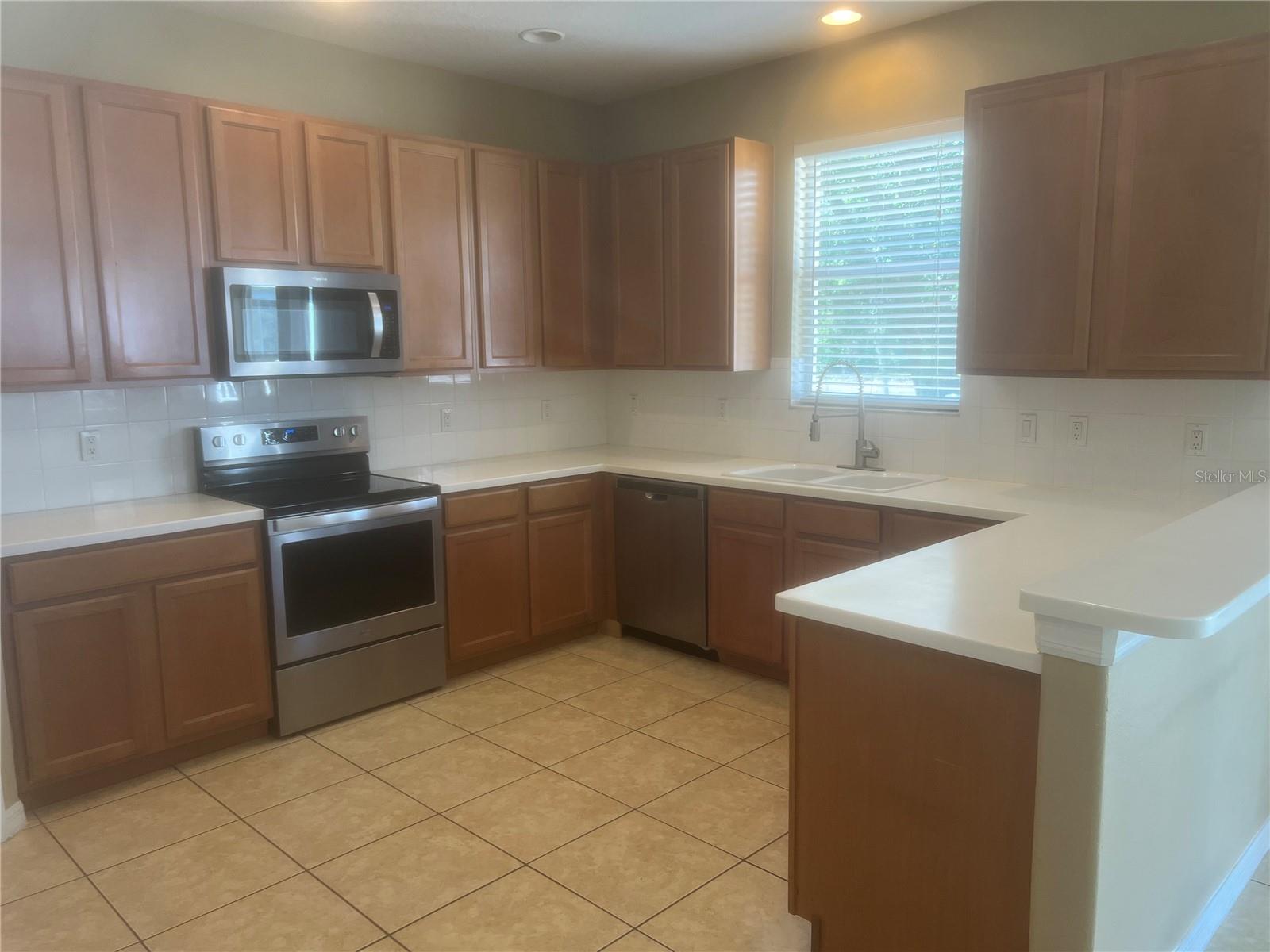 19036 FISHERMANS BEND DR, LUTZ, FL, 33558