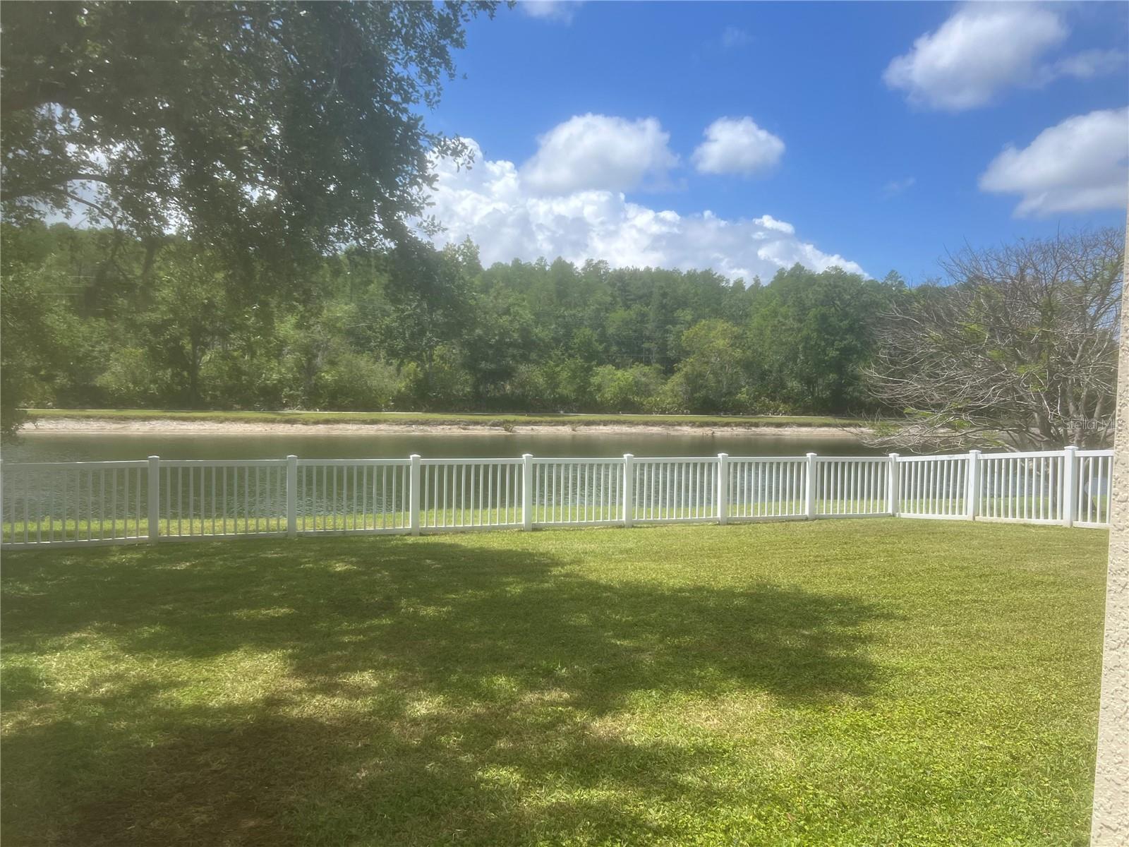 19036 FISHERMANS BEND DR, LUTZ, FL, 33558