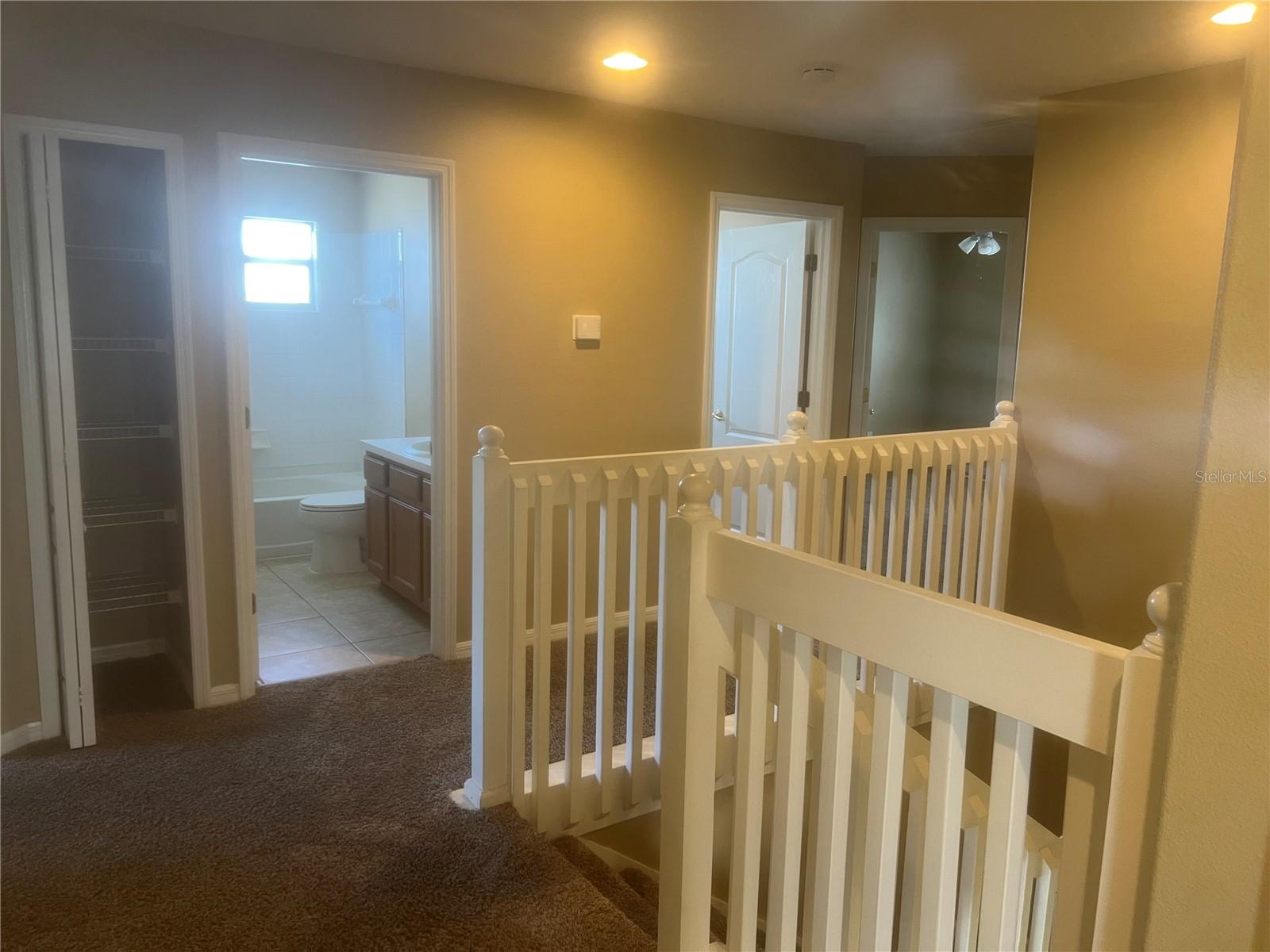 19036 FISHERMANS BEND DR, LUTZ, FL, 33558