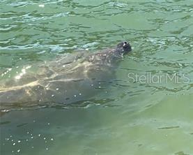 5980 SHORE BLVD S #901, GULFPORT, FL, 33707