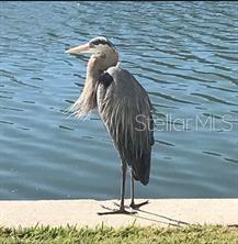 5980 SHORE BLVD S #901, GULFPORT, FL, 33707