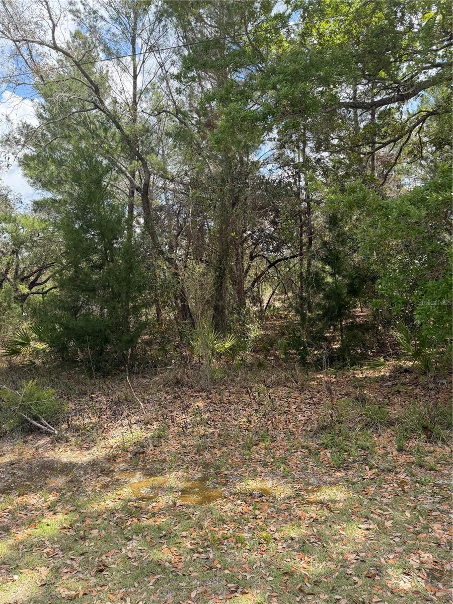 0 BASTIAN CT, WEEKI WACHEE, FL, 34613