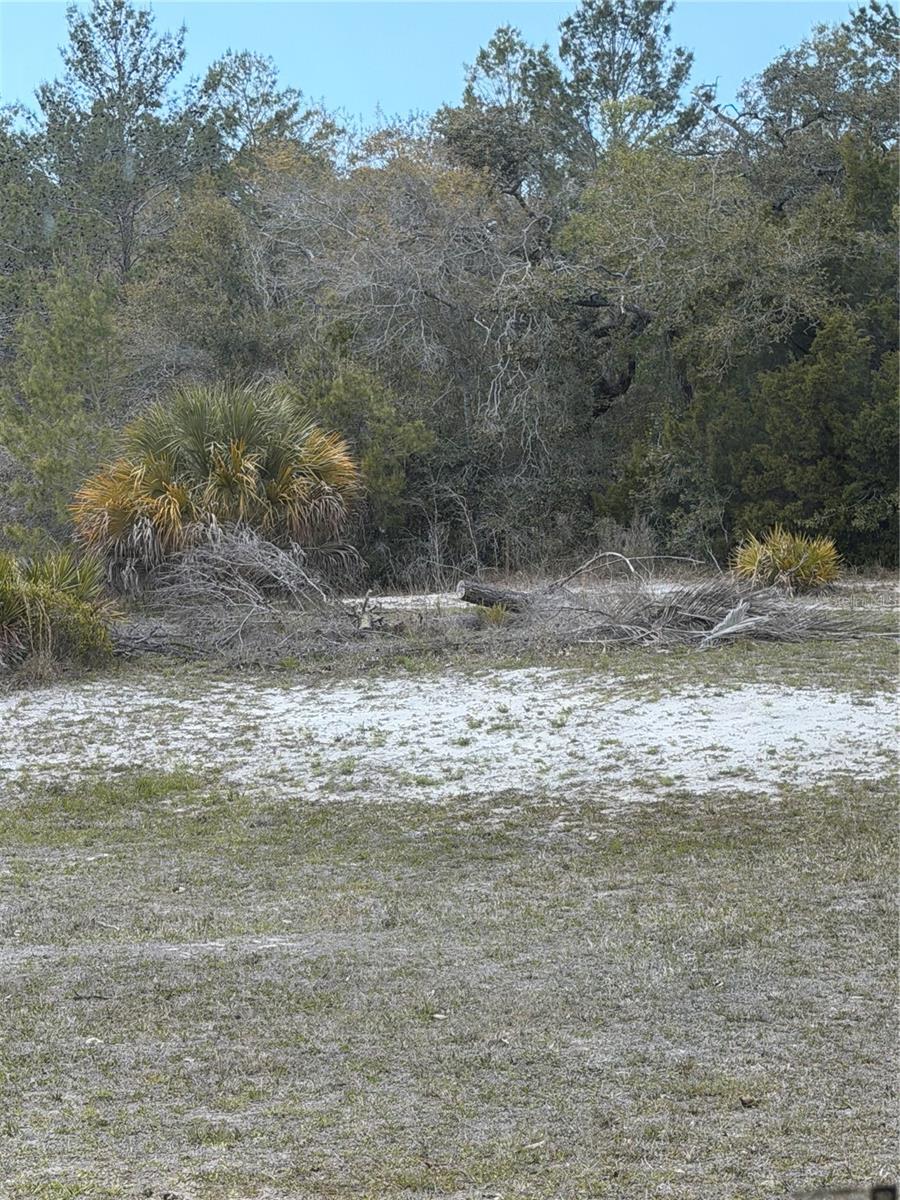 0 BASTIAN CT, WEEKI WACHEE, FL, 34613