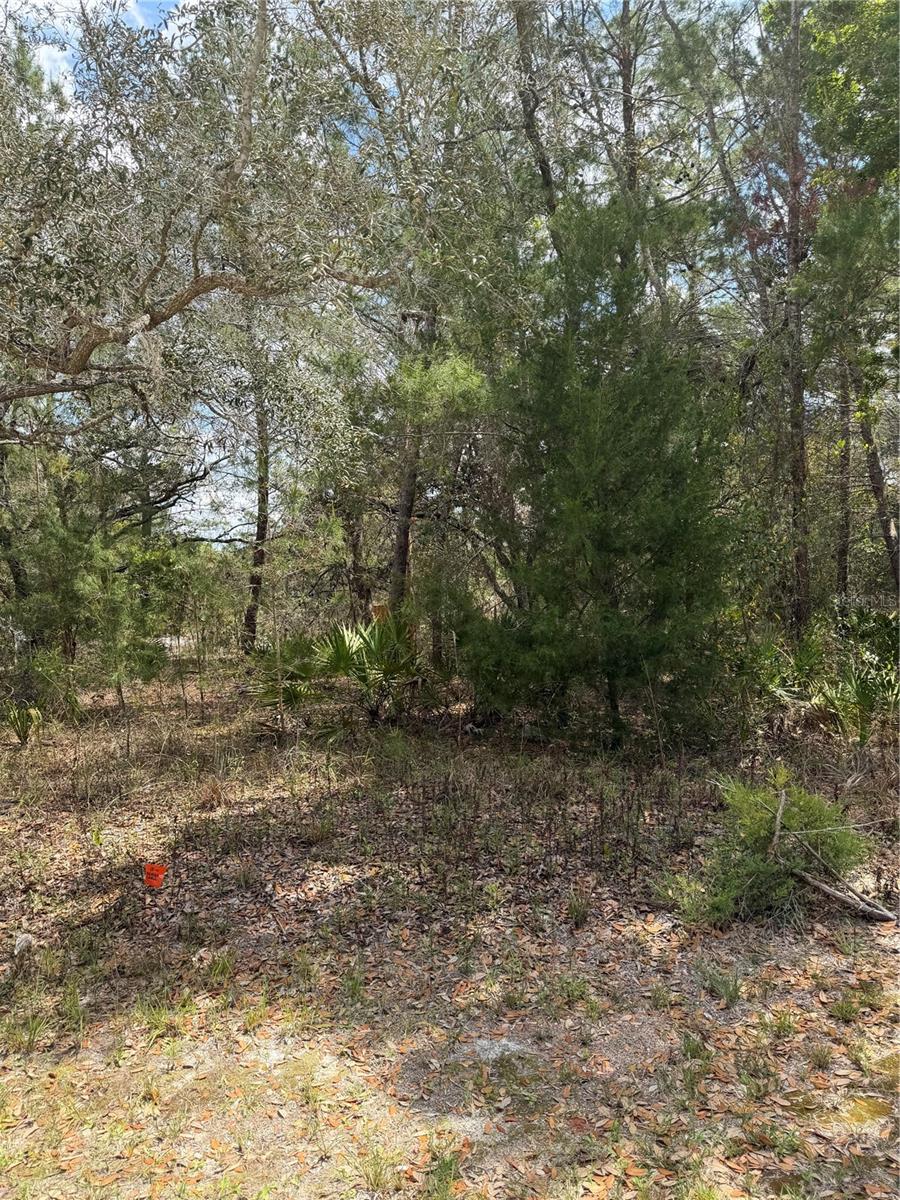 0 BASTIAN CT, WEEKI WACHEE, FL, 34613