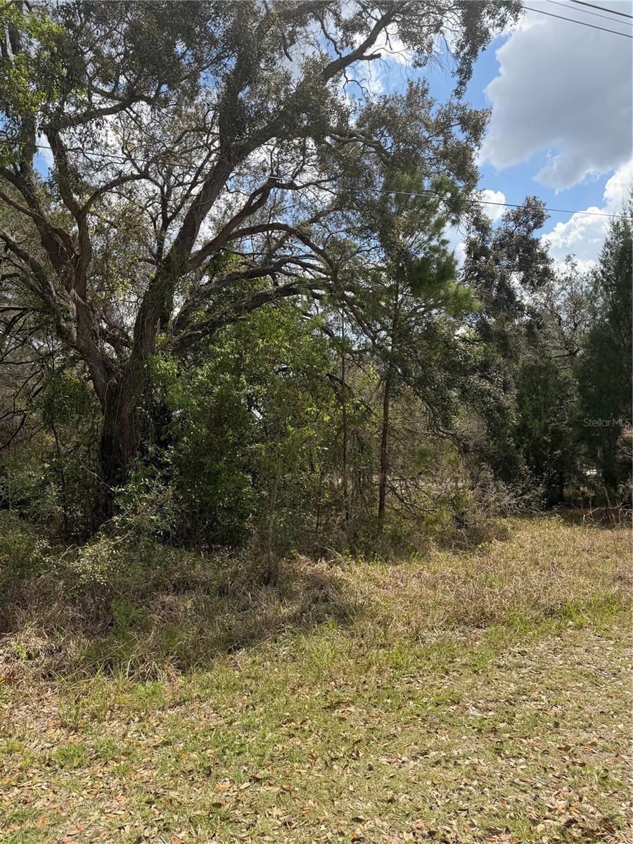 0 BASTIAN CT, WEEKI WACHEE, FL, 34613