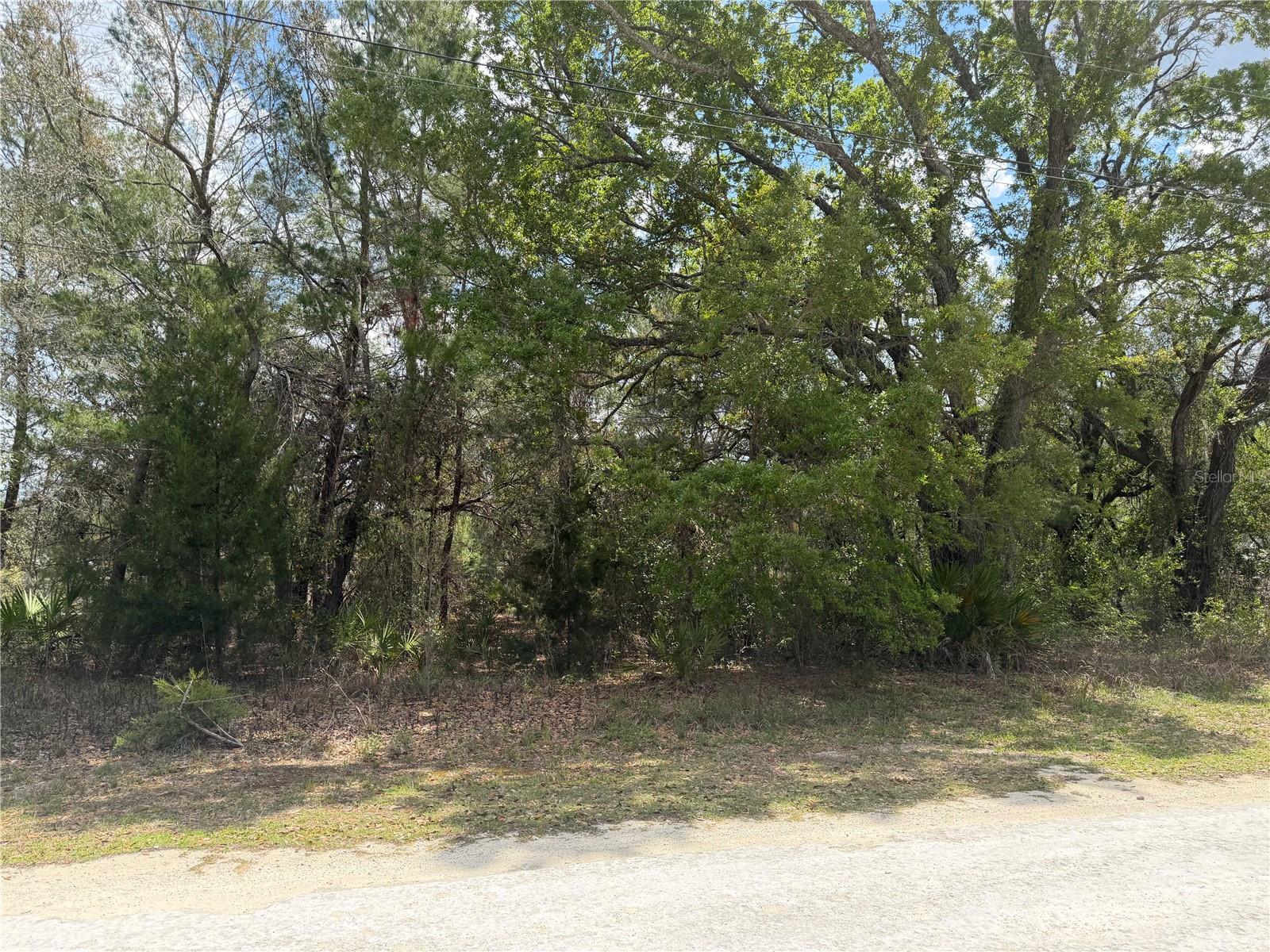 0 BASTIAN CT, WEEKI WACHEE, FL, 34613