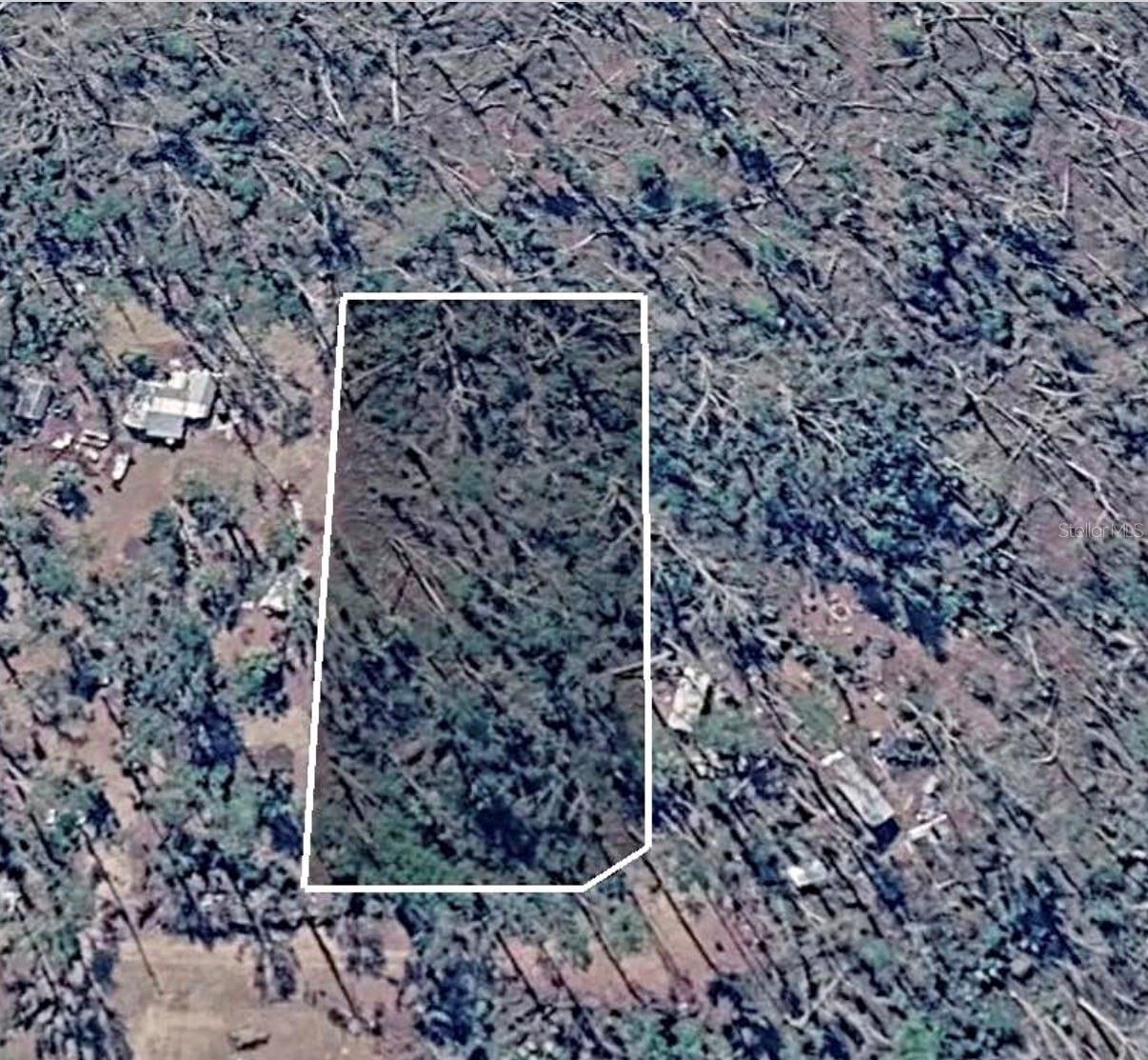 DOVE LN, PERRY, FL, 32348