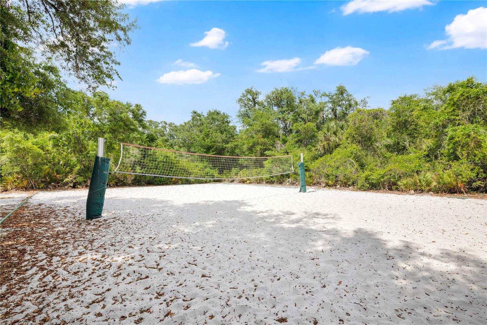 16467 GLASSY LOCH LOOP, CLERMONT, FL, 34714