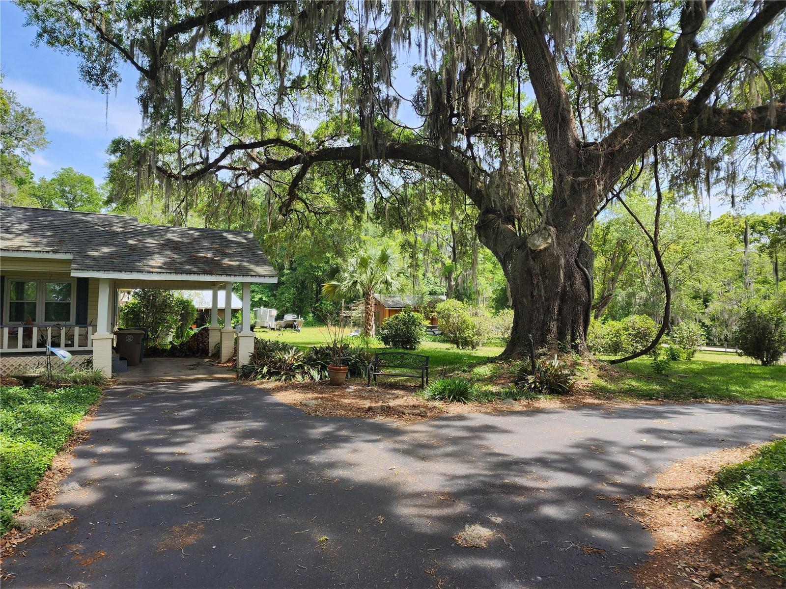 1427 NE 10TH ST, OCALA, FL, 34470