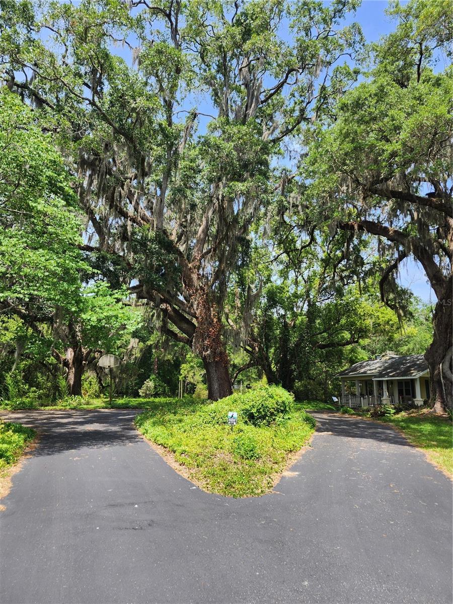 1427 NE 10TH ST, OCALA, FL, 34470