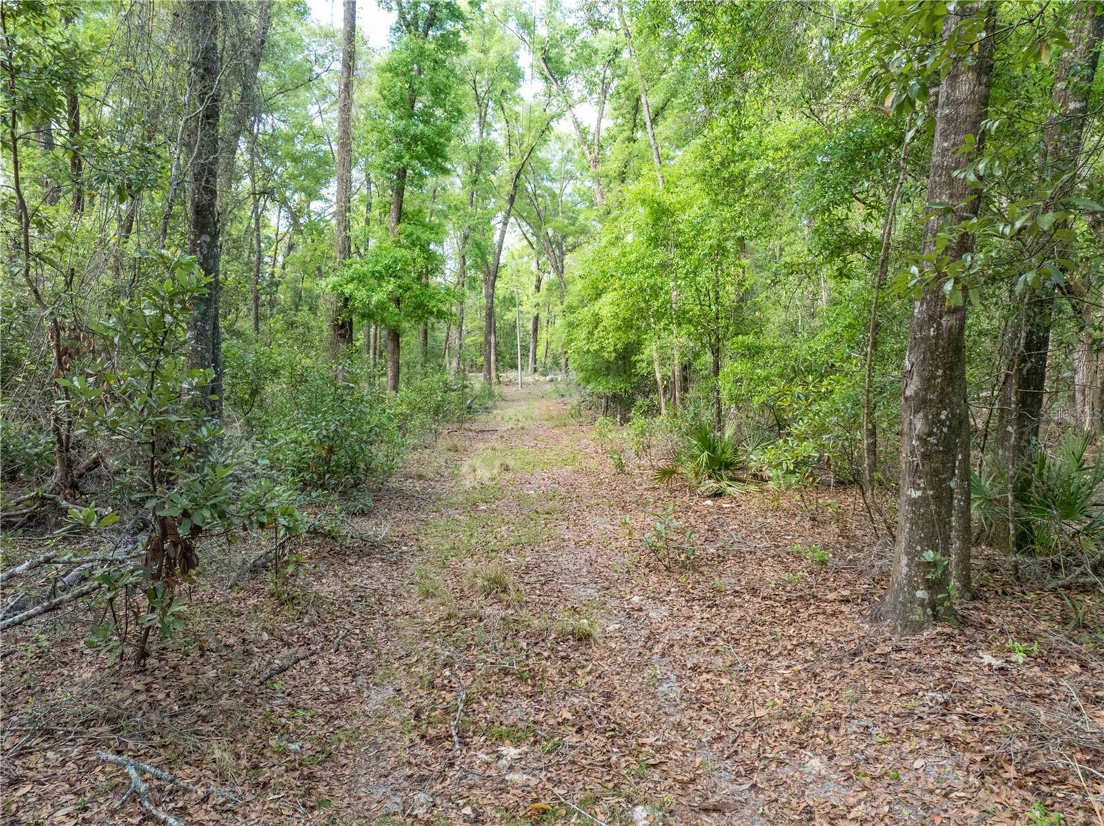 290 SW RATTLESNAKE GLN, FORT WHITE, FL, 32038