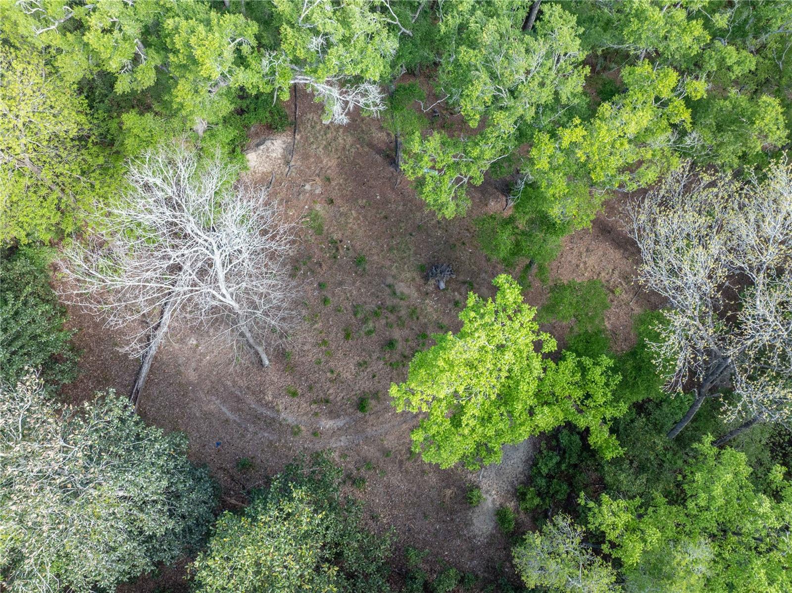 290 SW RATTLESNAKE GLN, FORT WHITE, FL, 32038