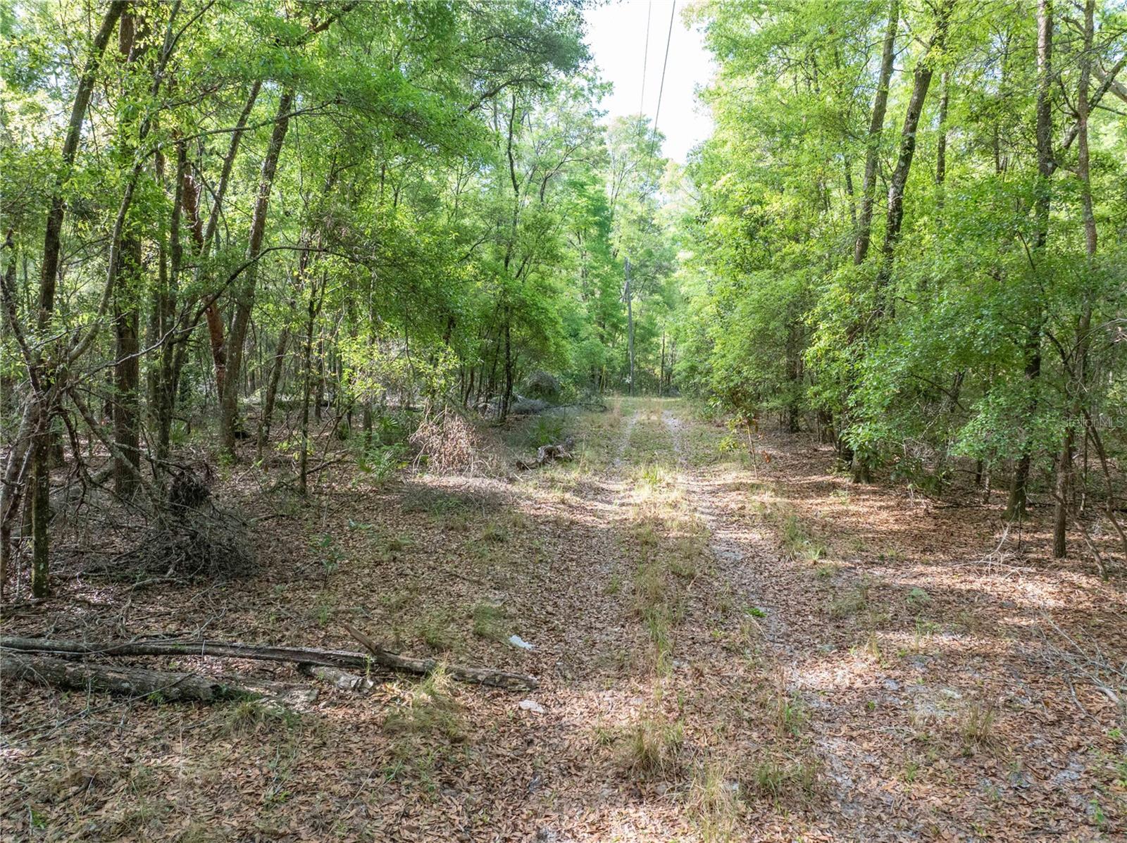 290 SW RATTLESNAKE GLN, FORT WHITE, FL, 32038