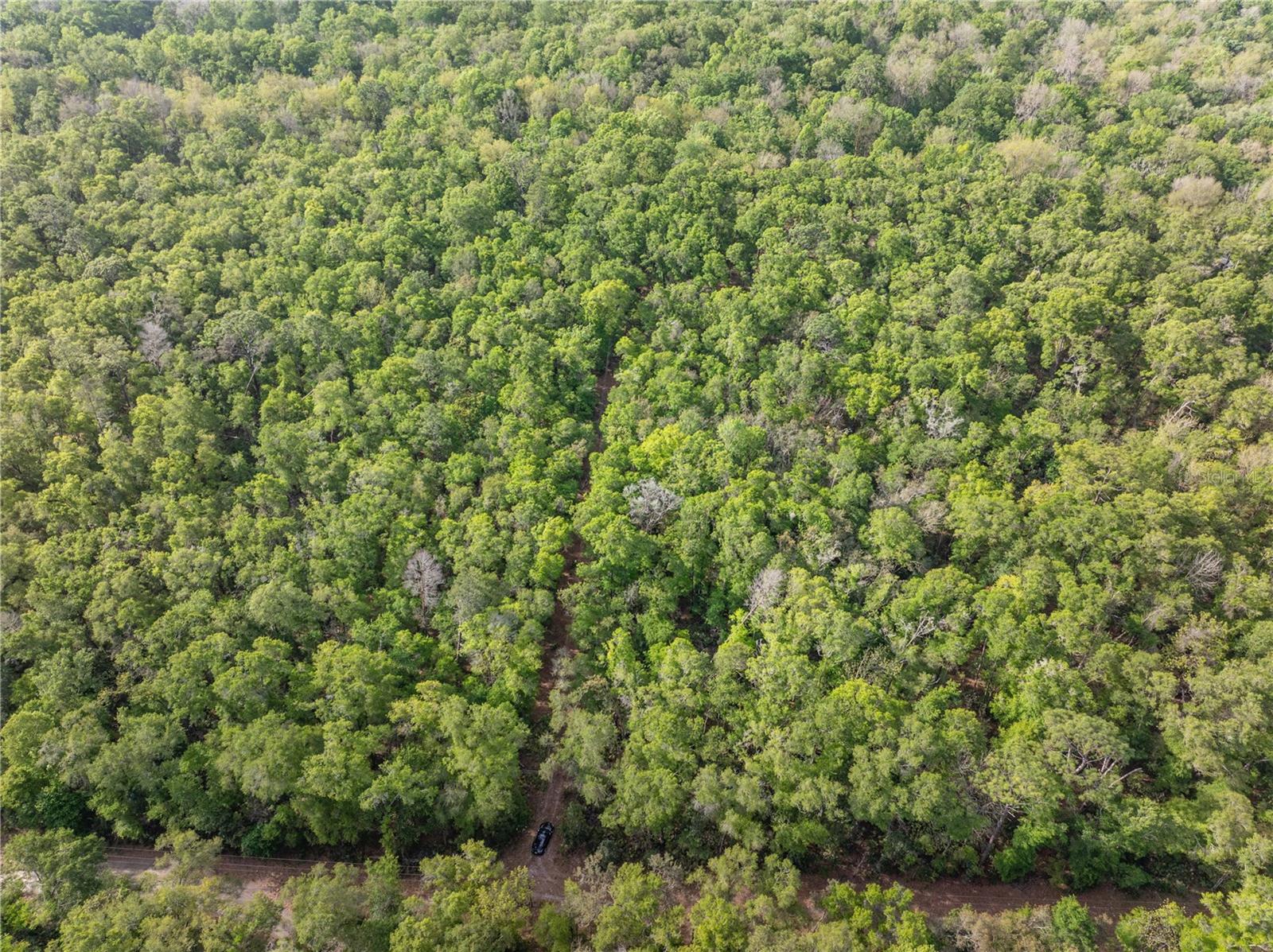 290 SW RATTLESNAKE GLN, FORT WHITE, FL, 32038