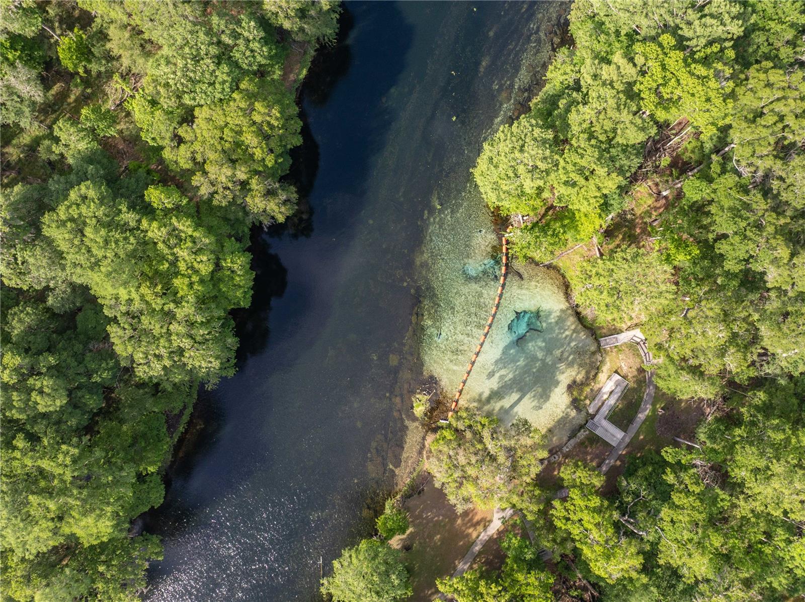 290 SW RATTLESNAKE GLN, FORT WHITE, FL, 32038