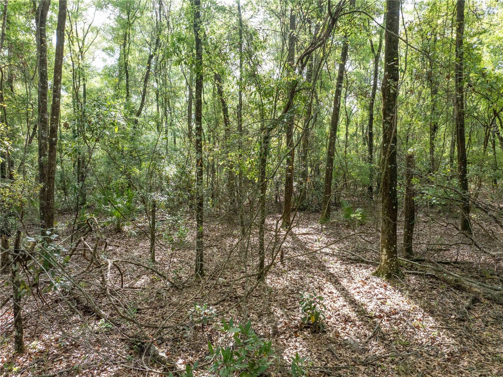 290 SW RATTLESNAKE GLN, FORT WHITE, FL, 32038