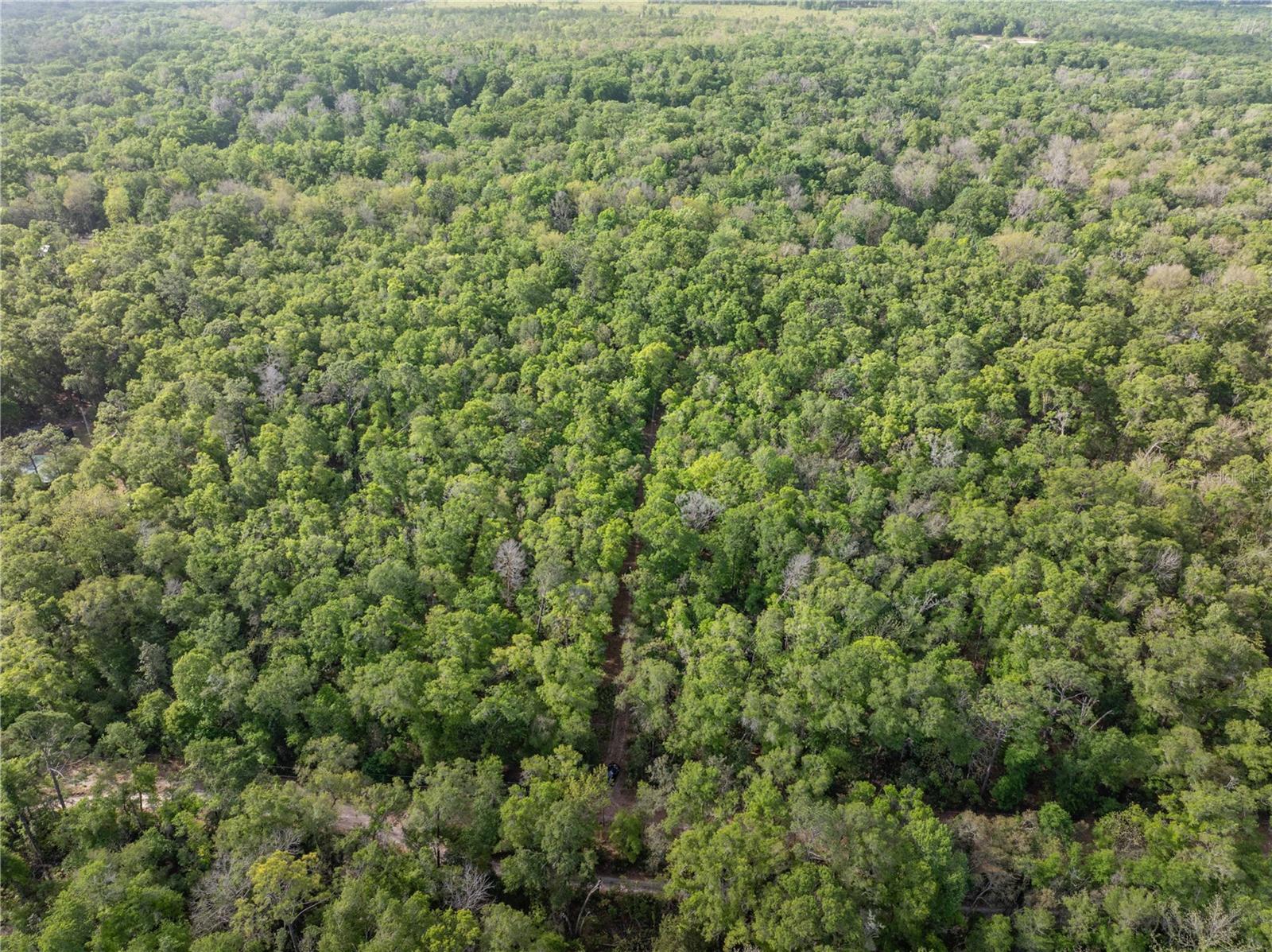 290 SW RATTLESNAKE GLN, FORT WHITE, FL, 32038