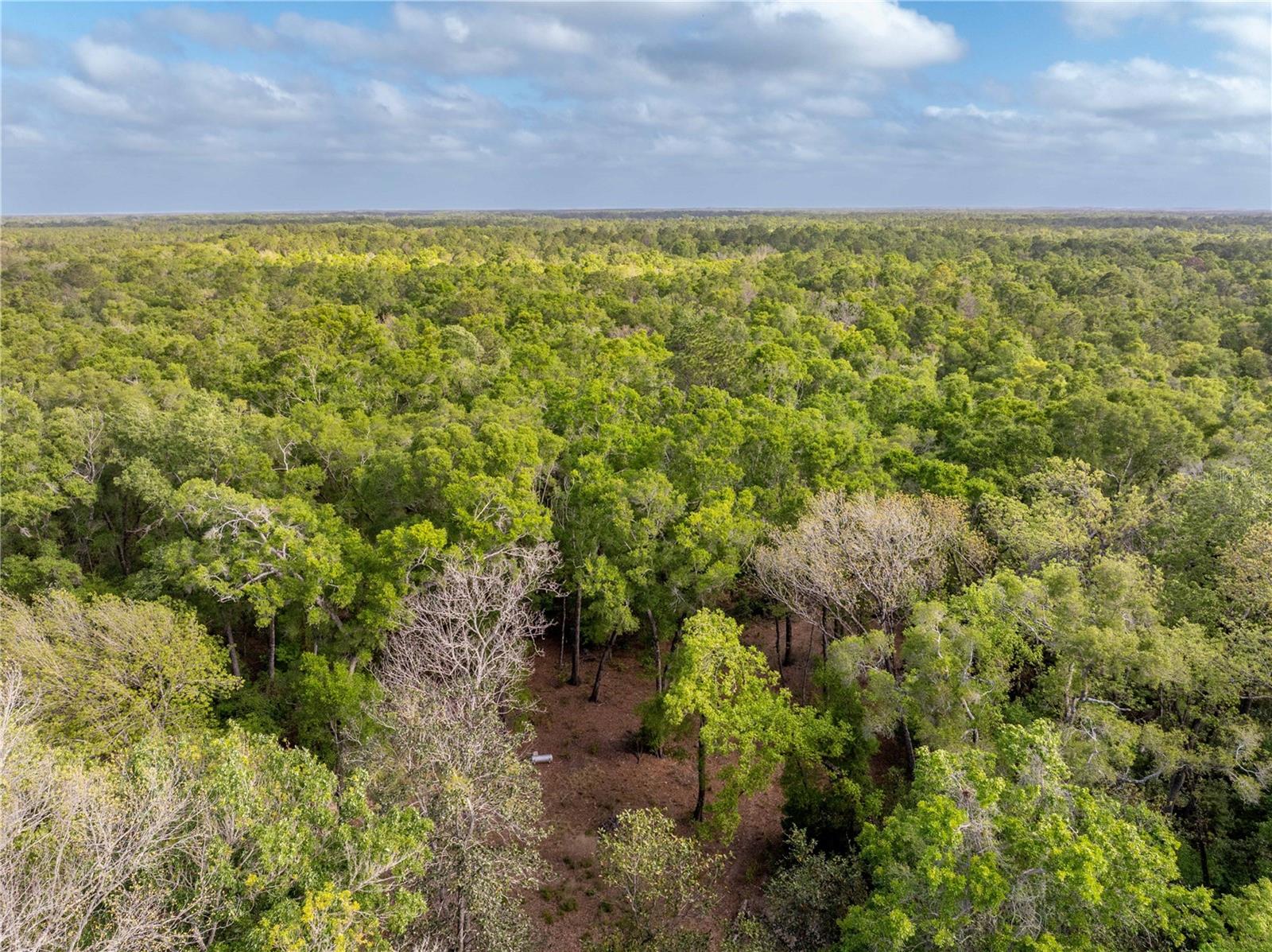 290 SW RATTLESNAKE GLN, FORT WHITE, FL, 32038