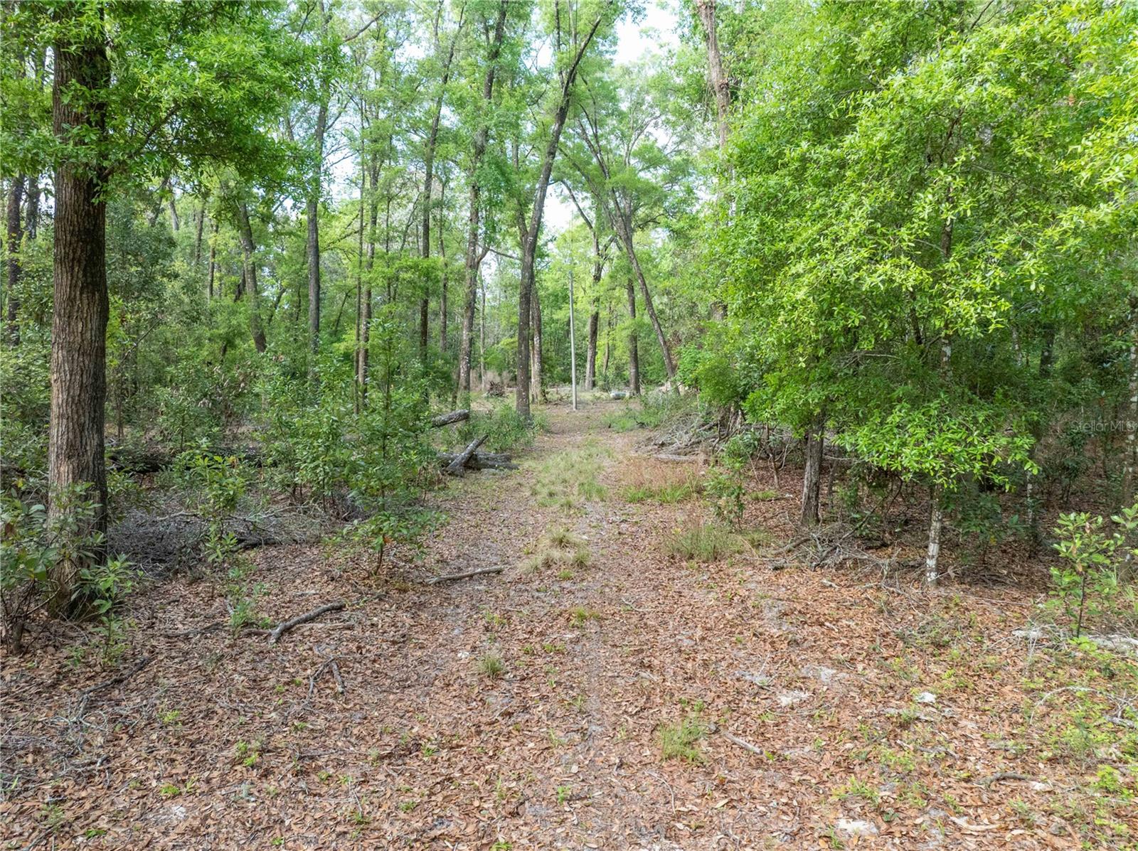 290 SW RATTLESNAKE GLN, FORT WHITE, FL, 32038