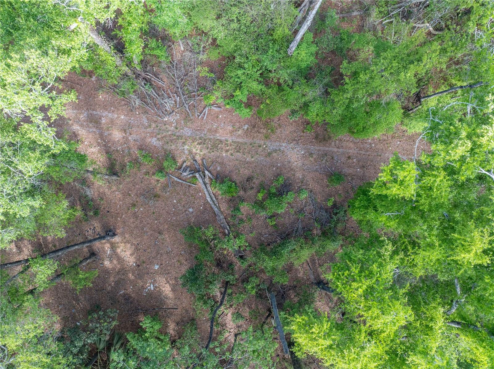 290 SW RATTLESNAKE GLN, FORT WHITE, FL, 32038