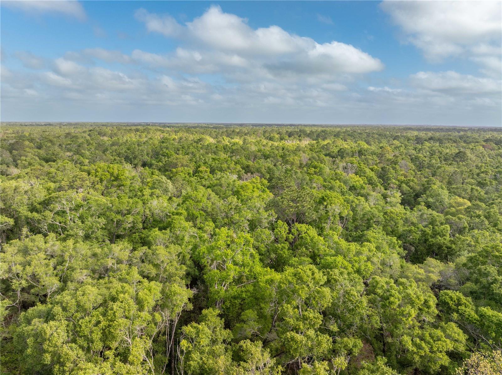 290 SW RATTLESNAKE GLN, FORT WHITE, FL, 32038