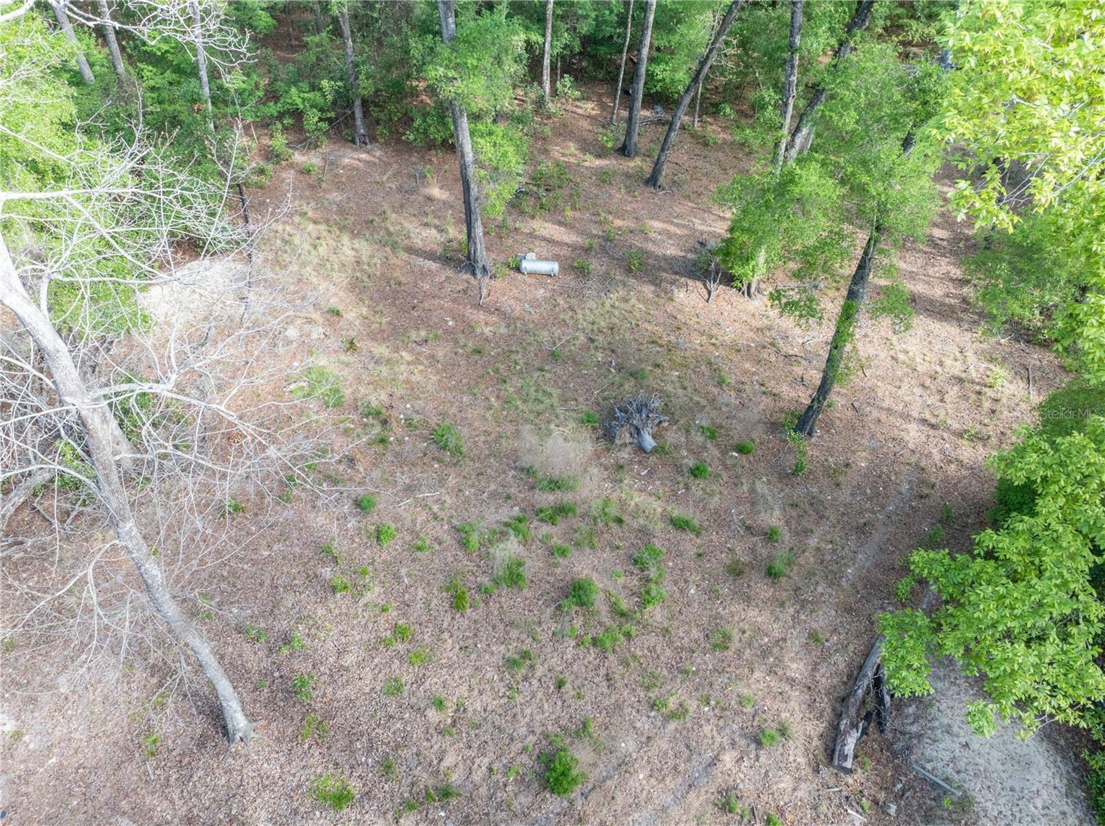 290 SW RATTLESNAKE GLN, FORT WHITE, FL, 32038