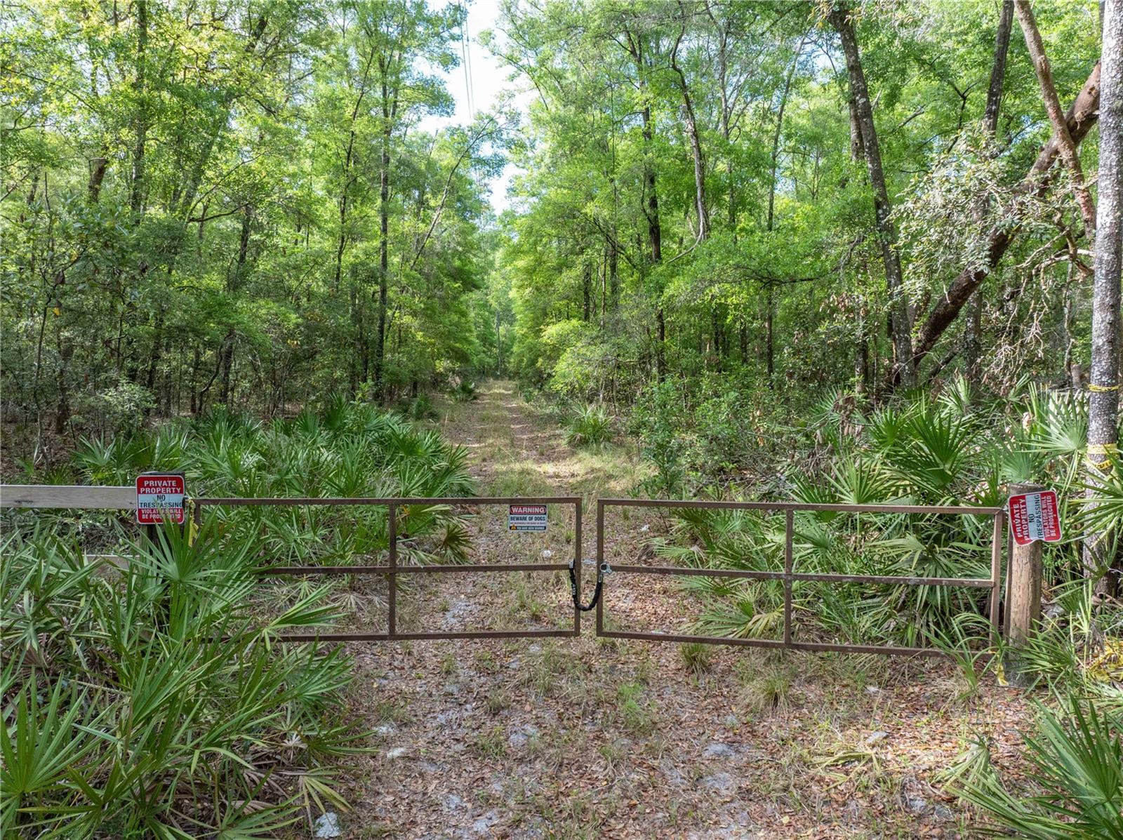 290 SW RATTLESNAKE GLN, FORT WHITE, FL, 32038