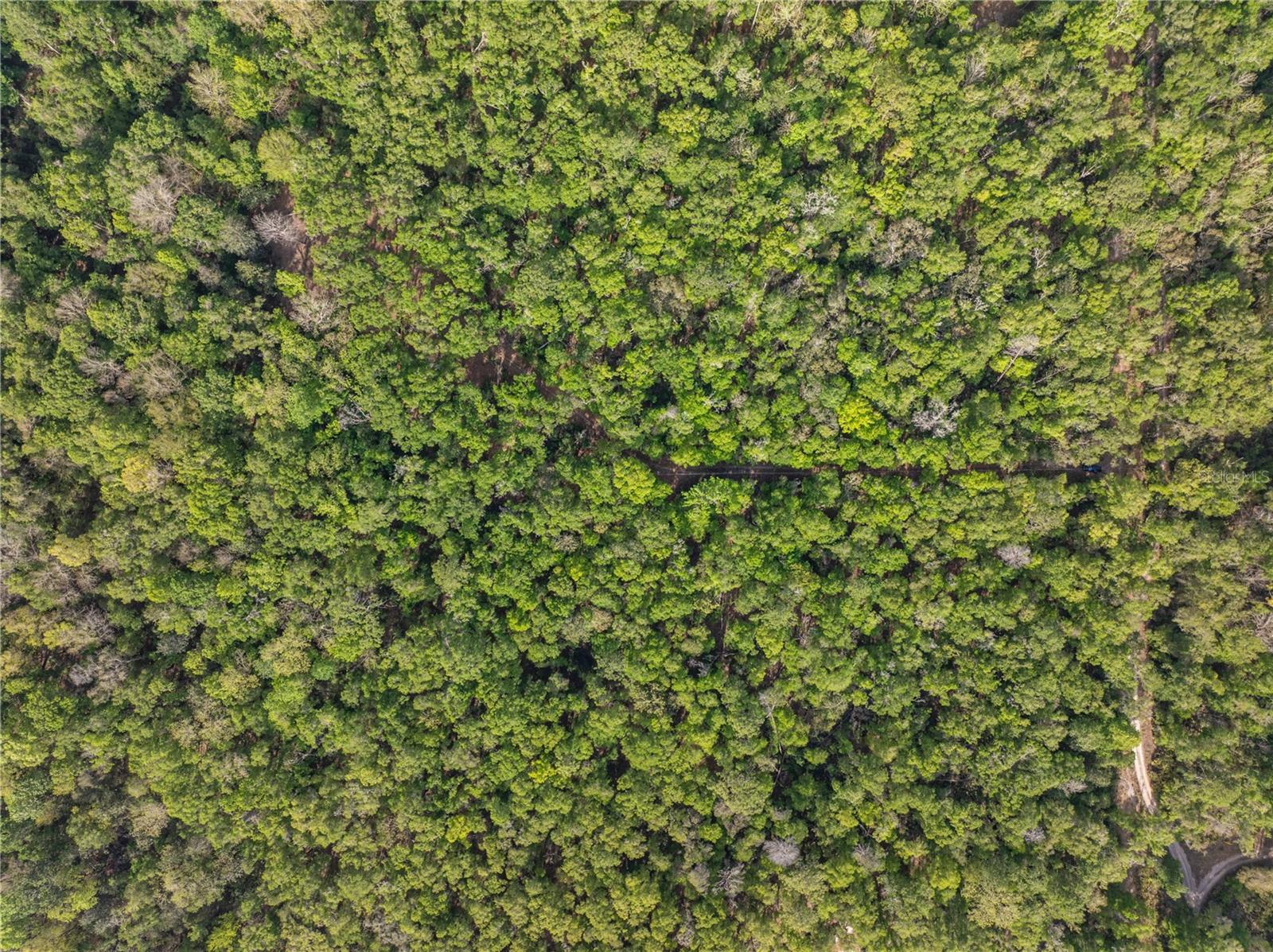 290 SW RATTLESNAKE GLN, FORT WHITE, FL, 32038