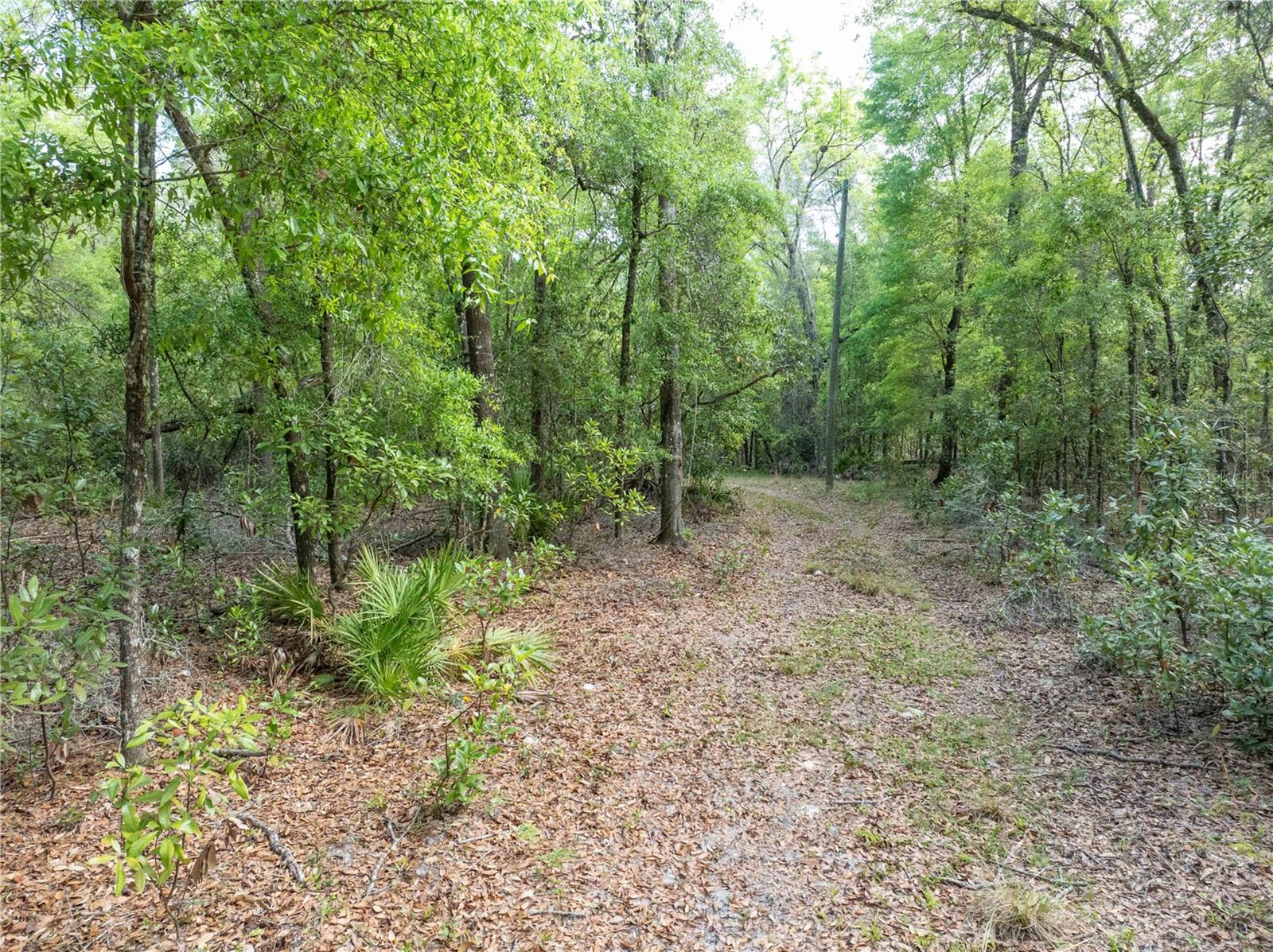 290 SW RATTLESNAKE GLN, FORT WHITE, FL, 32038