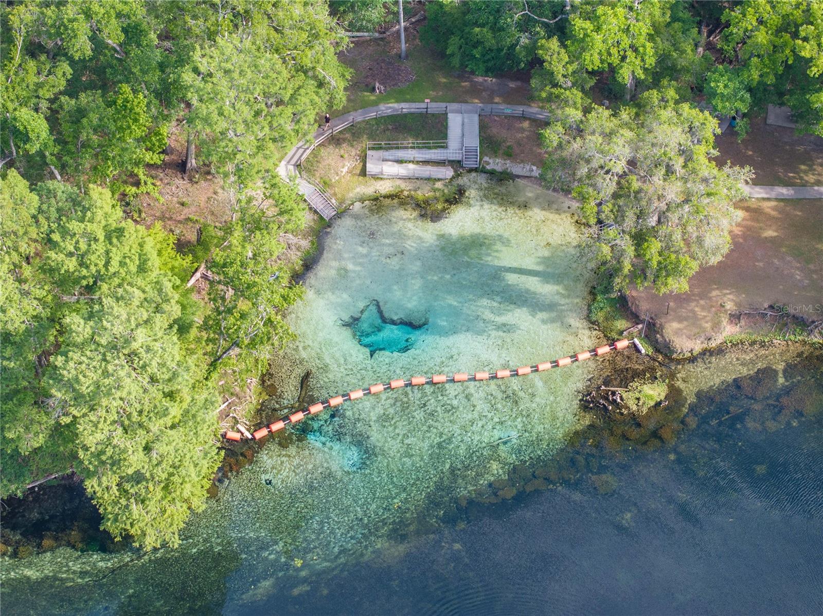 290 SW RATTLESNAKE GLN, FORT WHITE, FL, 32038