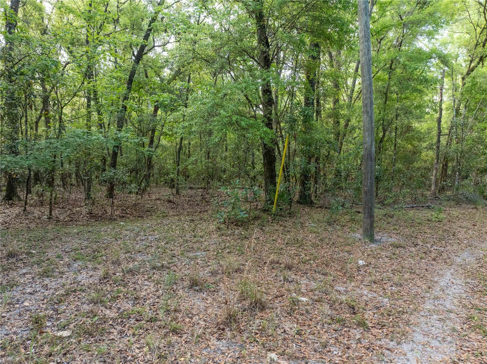 290 SW RATTLESNAKE GLN, FORT WHITE, FL, 32038