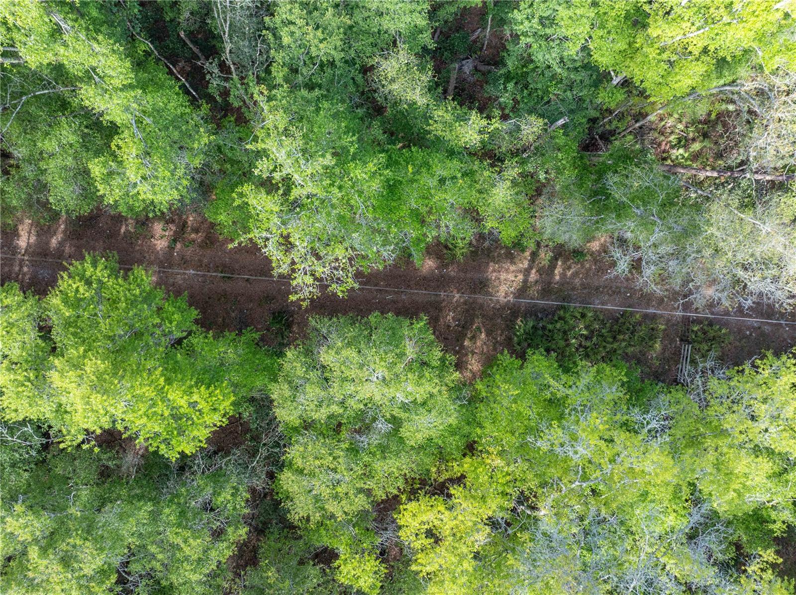 290 SW RATTLESNAKE GLN, FORT WHITE, FL, 32038